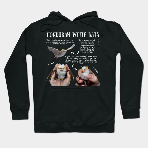 Animal Facts - Honduran White Bats Hoodie by Animal Facts and Trivias